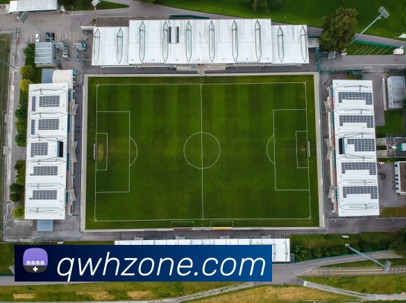 球王会Zone平台生态图